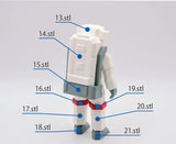 Astronaut Puzzle